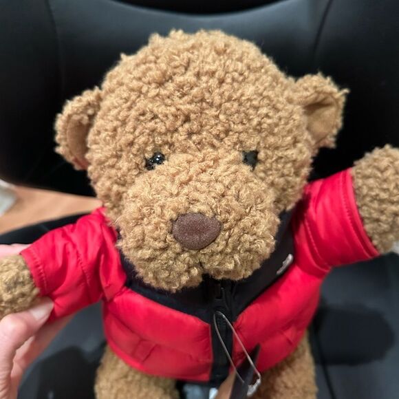 NWT The North Face Teddy Bear 30th Anniversary Red Nupste Jacket Very Rare - Picture 6 of 10